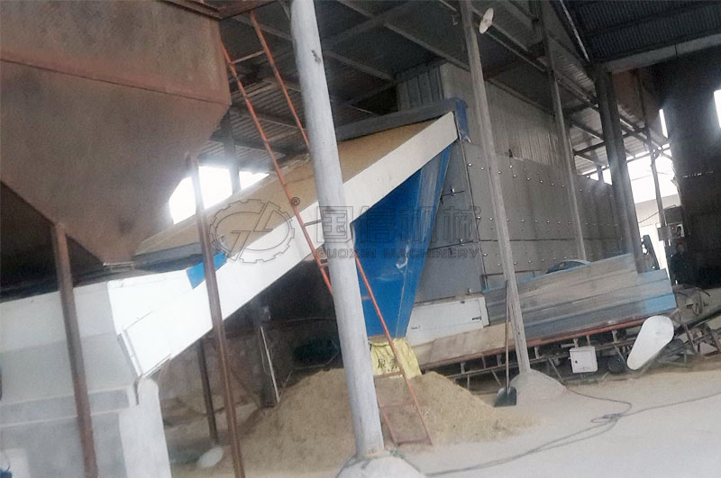 安徽滁州客戶烘干蒸谷米原稻現場